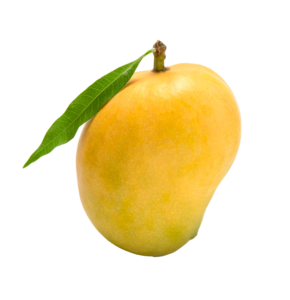 Valsad Kesar Mango