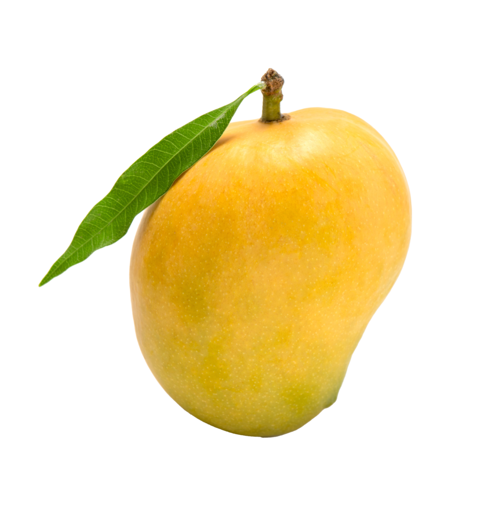 Valsad Hafus Mangoes