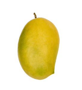 Valsad Kesar Mango