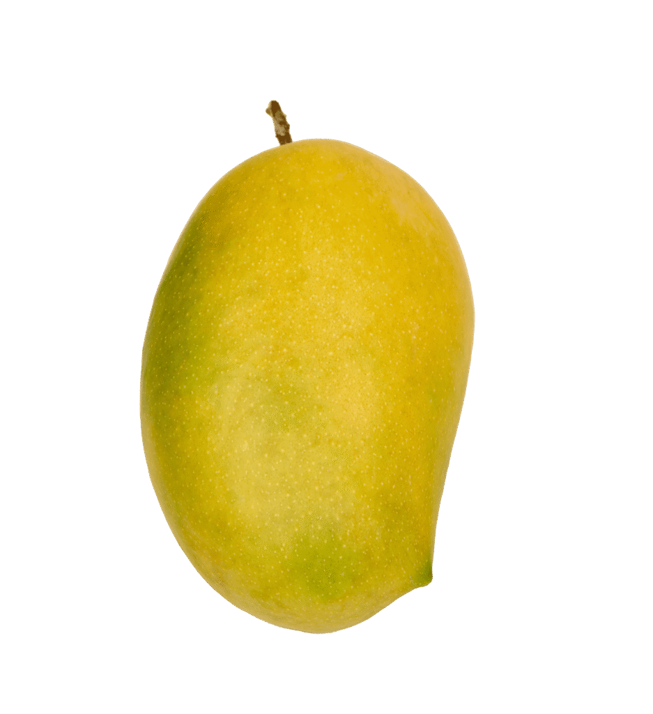 Valsad Kesar Mangoes