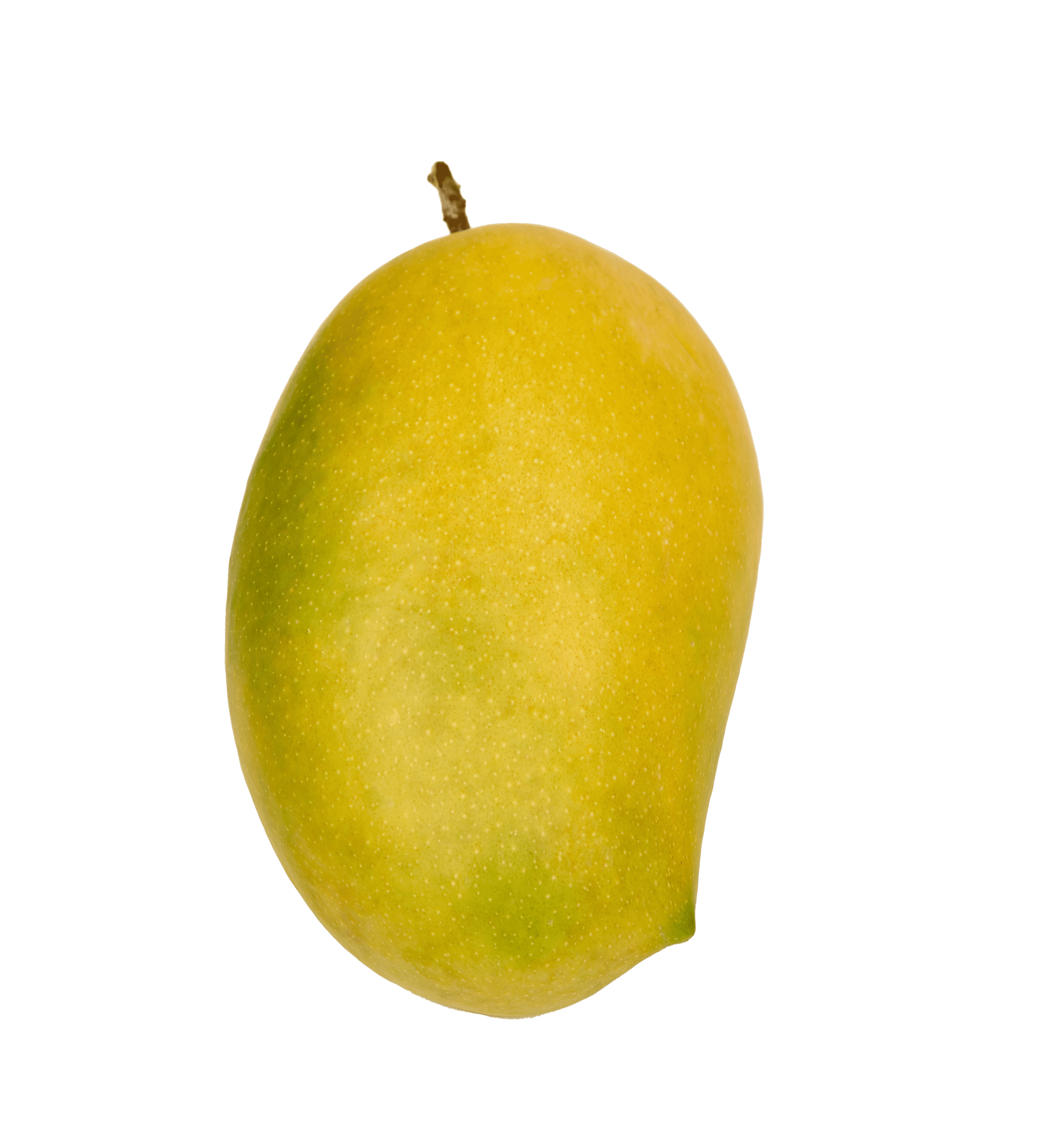 Valsad Kesar Mango