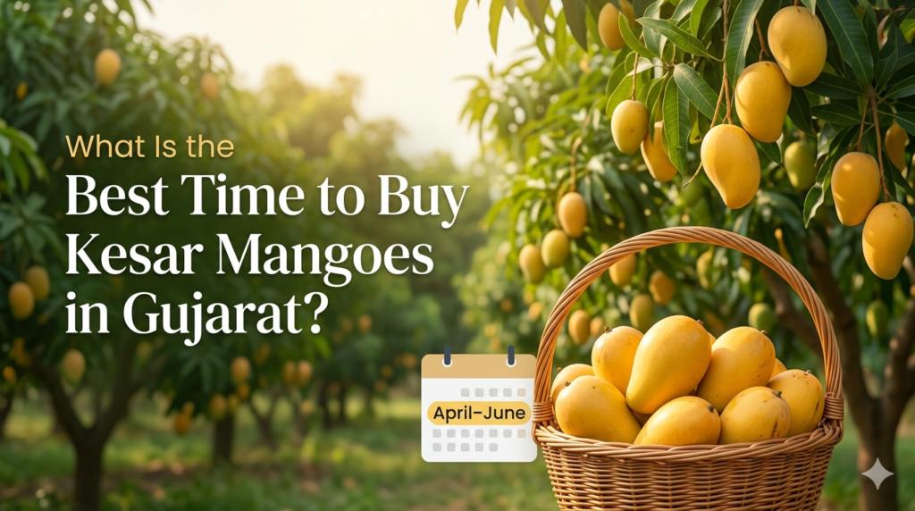 What Is the Best Time to Buy Kesar Mangoes in Gujarat