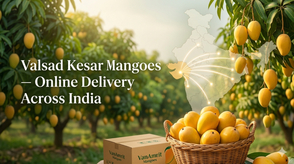 Valsad Kesar Mangoes Online Delivery Across India