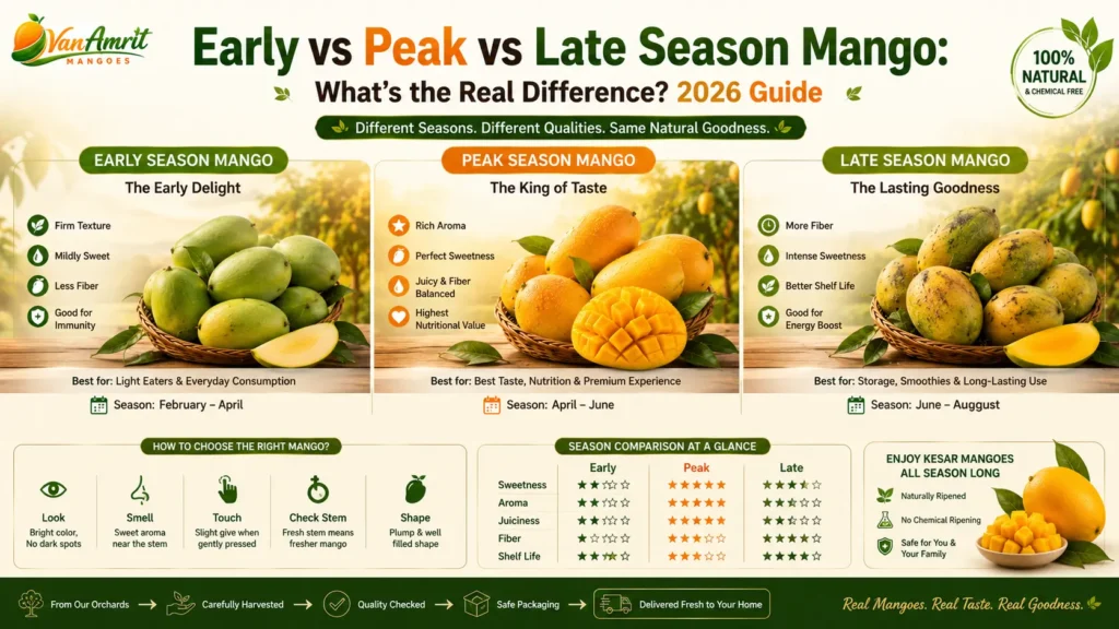 Early vs Peak vs Late Season Mango