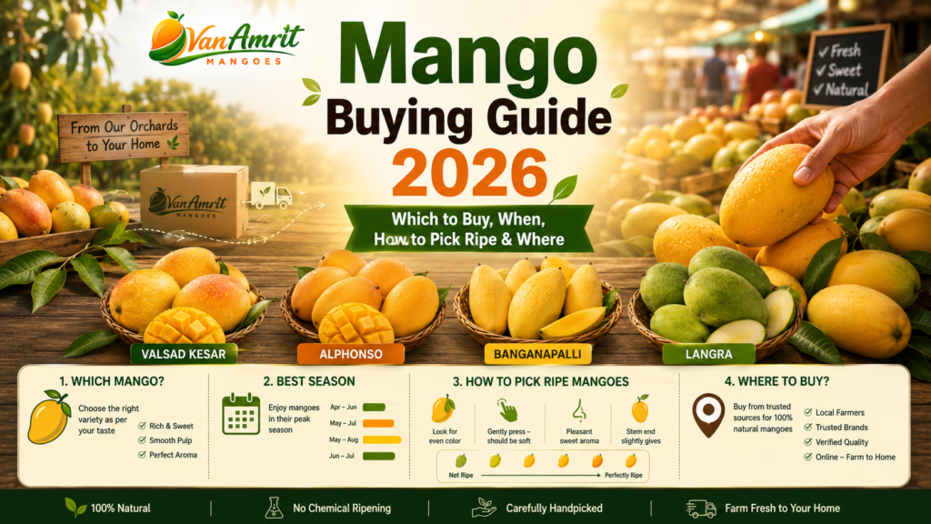 Mango Buying Guide 2026